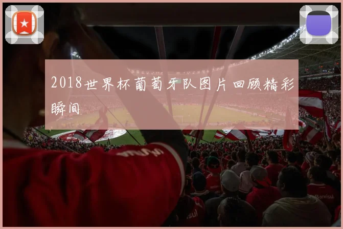 2018世界杯葡萄牙队图片回顾精彩瞬间