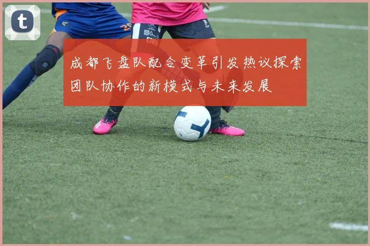 成都飞盘队配合变革引发热议探索团队协作的新模式与未来发展